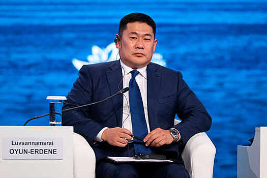 Премьер-министр Монголии предложил гражданам участвовать в расследовании хищения угля