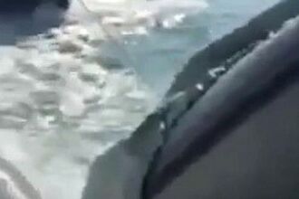 В Сочи туристов спасли с тонущей яхты