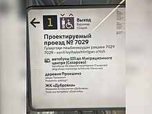 Указатели на узбекском и таджикском помогли на 50% разгрузить метро Москвы