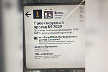 Указатели на узбекском и таджикском помогли на 50% разгрузить метро Москвы