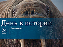 День 24 ноября в истории