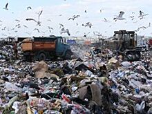 Данные изыскательских работ на челябинской свалке отправлены на экспертизу