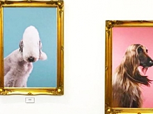 Facebook устроил выставку для продвижения сервиса Watch