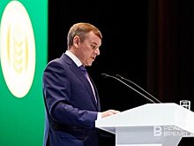 "Год был специфичный": глава татарстанского Минсельхоза признал проблемными почти половину озимых