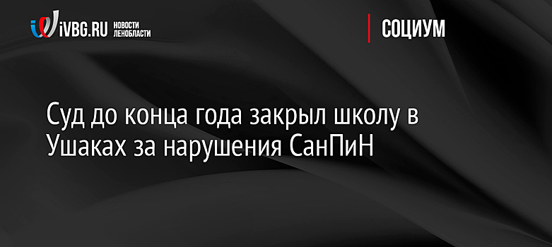 Суд до конца года закрыл школу в Ушаках за нарушения СанПиН