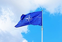 Джевад Галияшевич: НАТО - это воинственная криминальная структура