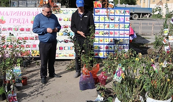 В Волгограде открылась первая ярмарка по продаже саженцев