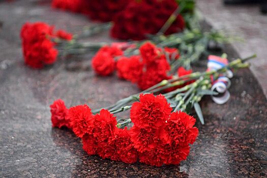 Двое военных из Пугачевского района Василий Греков и Сергей Березин погибли в зоне СВО