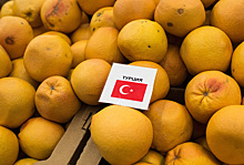 Москвичи смогут сообщить о запрещенных турецких товарах