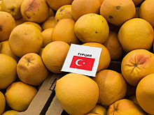 Москвичи смогут сообщить о запрещенных турецких товарах