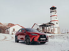 Тест нового Lexus NX: всё по-другому