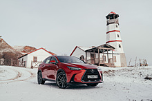 Тест нового Lexus NX: всё по-другому