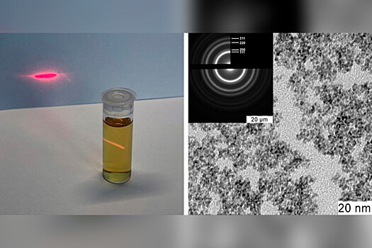 Российские и украинские химики синтезировали минеральный антиоксидант