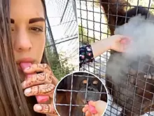 Американцы о выходке российской боксерши: интеллект - это когда нарушаешь закон, снимая это на видео