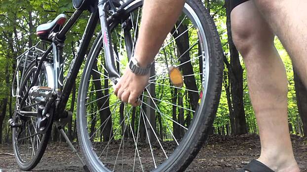 Жители Краснодарского края смогут бесплатно перевозить велосипеды в электричках