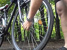 Жители Краснодарского края смогут бесплатно перевозить велосипеды в электричках