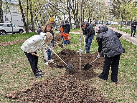 Общегородской субботник прошел в Алтуфьевском районе