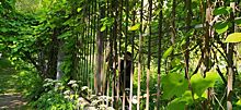 Сериал о разведчицах снимают в нижегородском Ботаническом саду