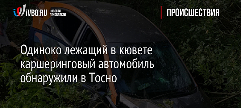 Одиноко лежащий в кювете каршеринговый автомобиль обнаружили в Тосно