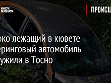 Одиноко лежащий в кювете каршеринговый автомобиль обнаружили в Тосно