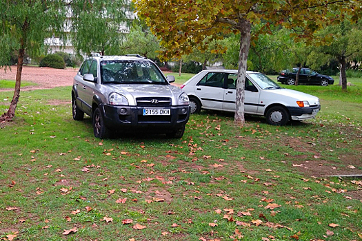 Штраф за парковку на газоне пропишут в федеральном КоАП