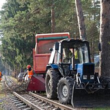 Министерство энергетики МО: почти 1200 га просек вдоль линий электропередачи расчистили в Московской области с начала 2019 года