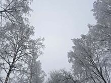 В Свердловской области побит 47-летний температурный рекорд