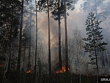 Доктор наук Токарев: из-за пожаров в крови человека возникает дефицит кислорода