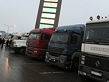 Депутаты Госдумы пообещали помочь дальнобойщикам