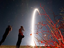 Видео с мышами на борту "Биона-М" в "премиальных апартаментах" показал Роскосмос