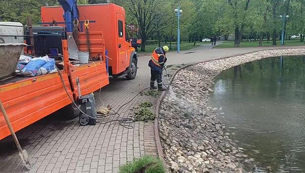 Берега пруда у «Марса» очистили от грязи и мусора