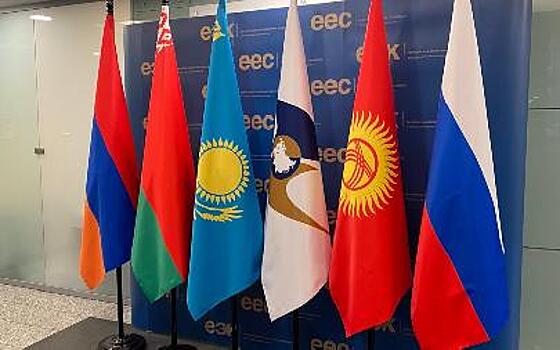 Общественные объединения займутся развитием евразийской интеграции