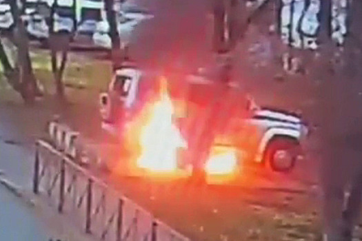 В Подмосковье задержан подросток за поджег автомобиля полиции