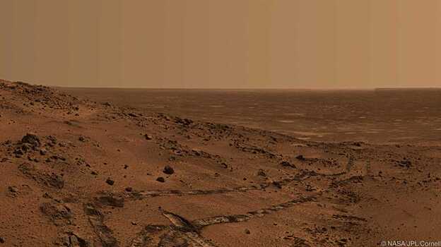 Ученые доказали способность земных микробов жить на Марсе