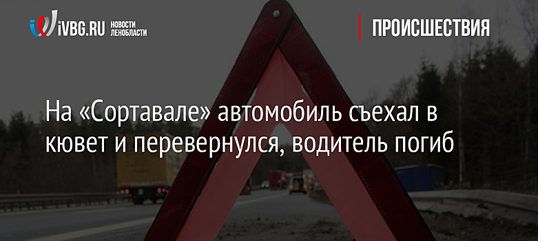 На «Сортавале» автомобиль съехал в кювет и перевернулся, водитель погиб