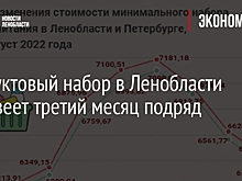 Продуктовый набор в Ленобласти дешевеет третий месяц подряд