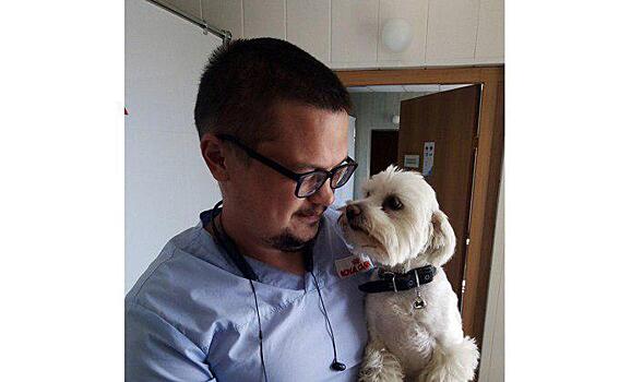 Ветеринар о любви к животным: «Каждый является фанатиком своего питомца»