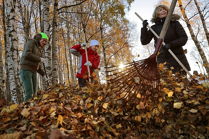 Москвичи определят правила уборки листвы во дворах