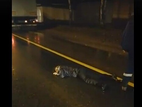 В Вышнем Волочке УАЗ сбил велосипедиста