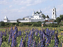 Наша древняя история в Переславле стала частной собственностью