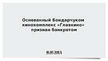 Основанный Бондарчуком кинокомплекс «Главкино» признан банкротом