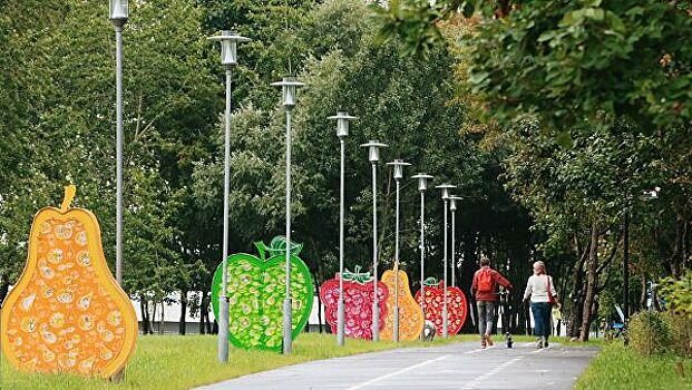 Депутат предложил выделять парки и пустыри под садоводство