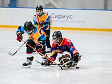 В Городецком округе пройдёт всероссийский интенсив Hockey Family Camp