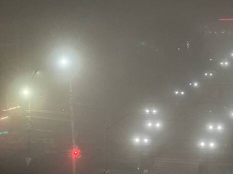 Москвичей предупредили об опасном тумане