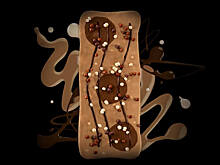 Шоколадный крафт и этно-этикетка: традиционный обзор дизайна упаковки за март