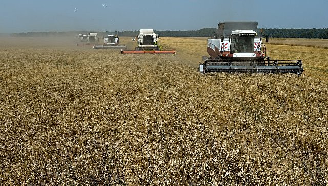 Экономист оценил выгоду для России от торговой войны Китая и США