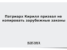 Патриарх Кирилл призвал не копировать зарубежные законы