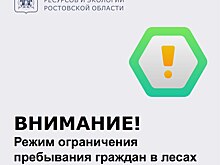 В Ростовской области режим ограничения пребывания в лесах продлен до 2 июля