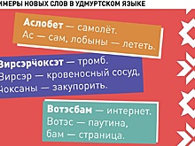Как цифровые технологии помогают изучать удмуртский язык