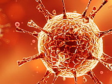 В Новосибирской области все больницы за исключением двух возобновят плановую медпомощь